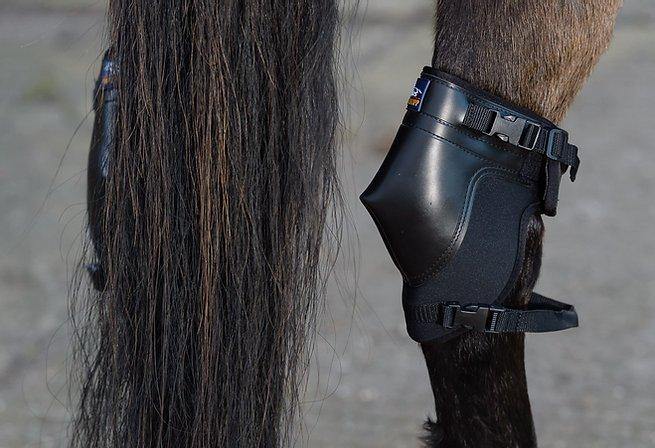 Westropp Protege Jarrets - SHOPHORSE